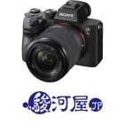 Japanese Cameras from Surugaya